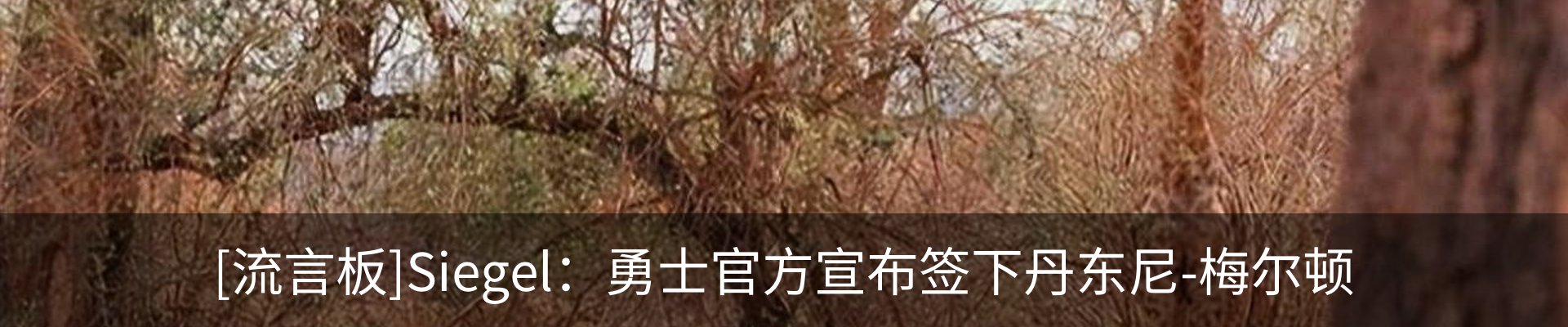资讯中心
